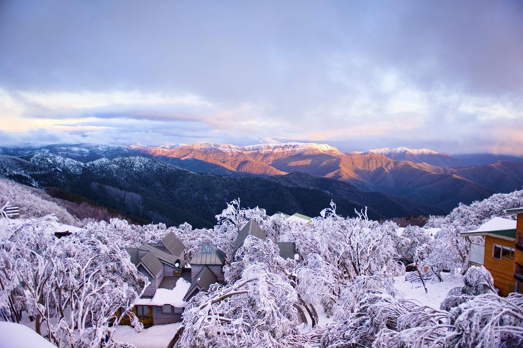 Chalet Apartments - Mt Buller Apartment Rentals Маунт Булер Стая снимка